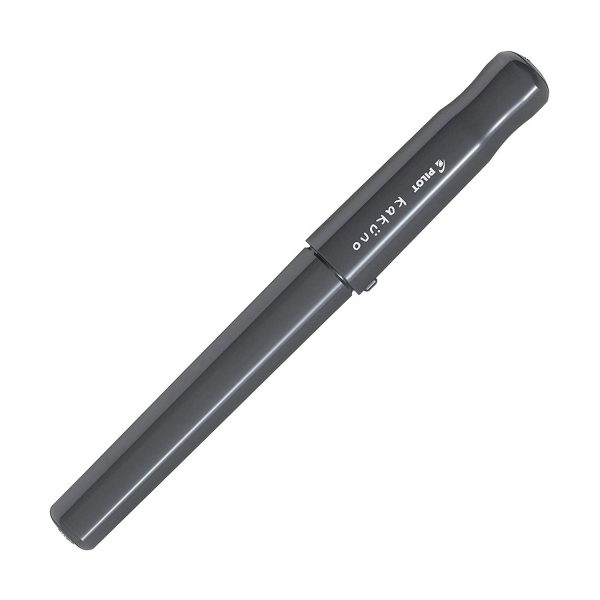 Pilot Kakuno Fountain Pen - Gray Supply